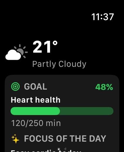 MeteoHealth on Apple Watch: current temperature, a heart-health goal ring and the focus of the day