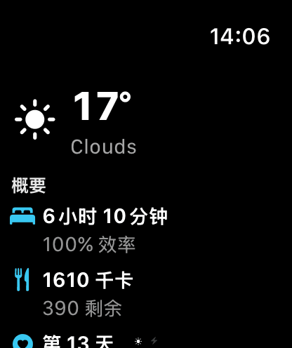 Apple Watch 上的 MeteoHealth:当前气温和天气,以及当天的身体状态摘要
